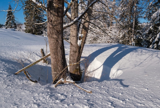 Countryside hills groves and farmlands in winter remote alpine mountain village