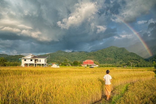 Photo countryside homestay in rice farm in pua district