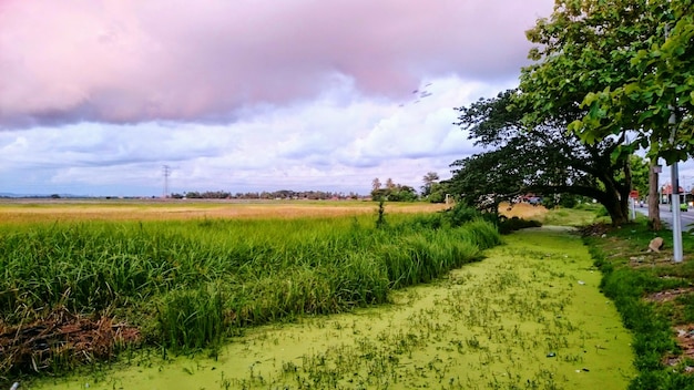 Countryside landscape against cloudy sky