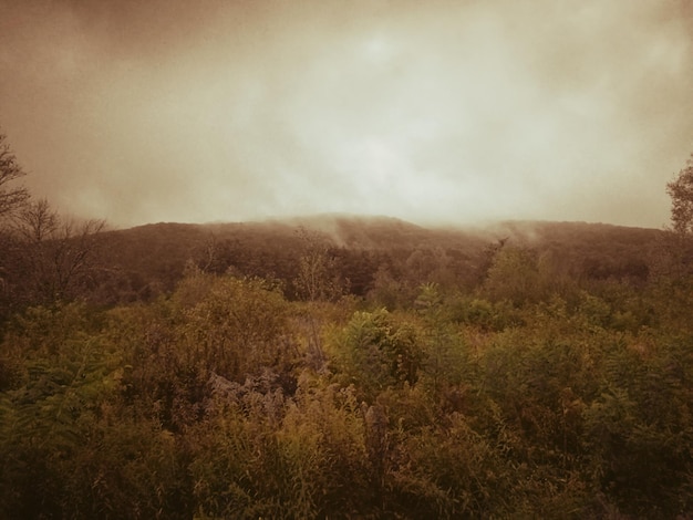 Photo countryside landscape against mountain range