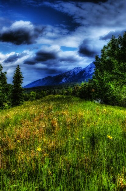 Countryside landscape against sky