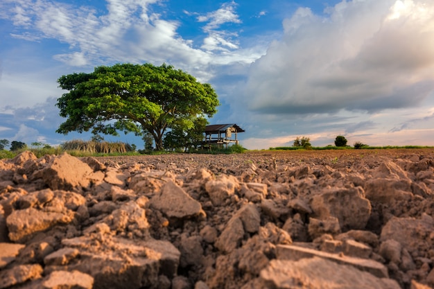 Countryside landscape, farmland, blue sky.