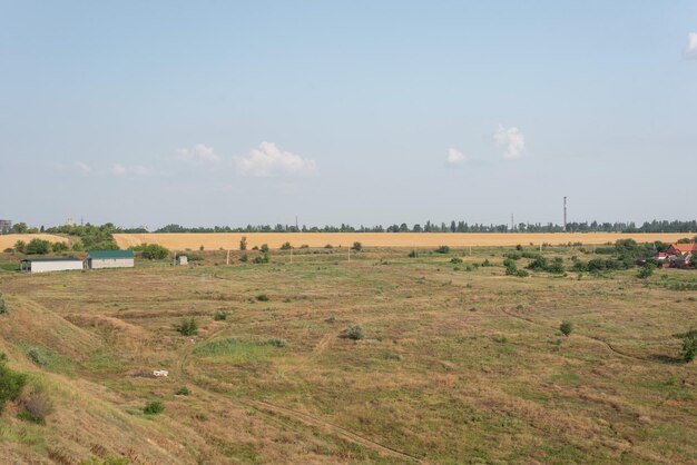 Countryside landscape fields in summer with yellow dry grass august ukraine