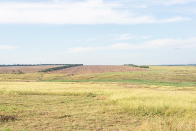 Countryside landscape fields in summer with yellow dry grass august ukraine