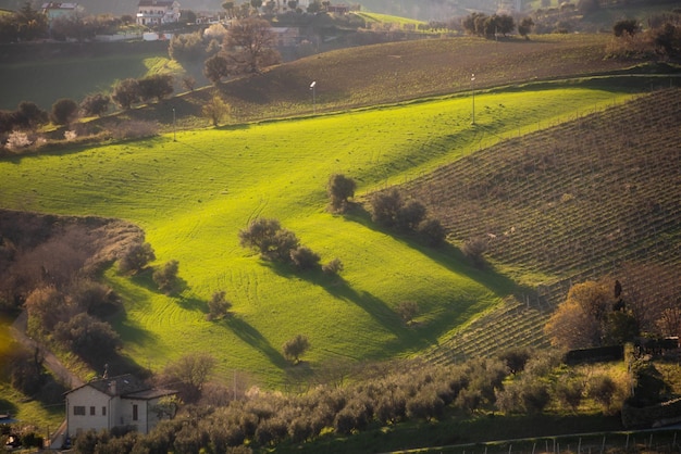 丘の間の田園風景の緑の農地