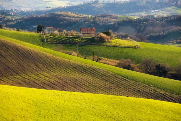 Countryside landscape green agricultural fields among hills