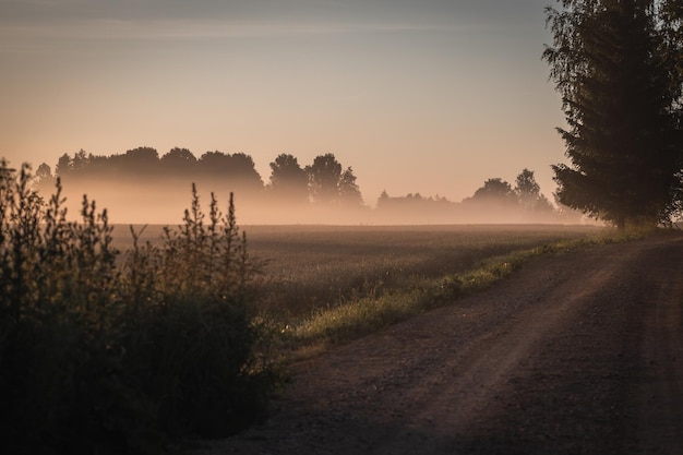 Countryside landscape in morning fog during sunrise