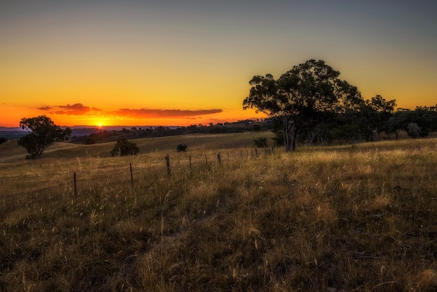 Countryside landscape at sunset in Australia