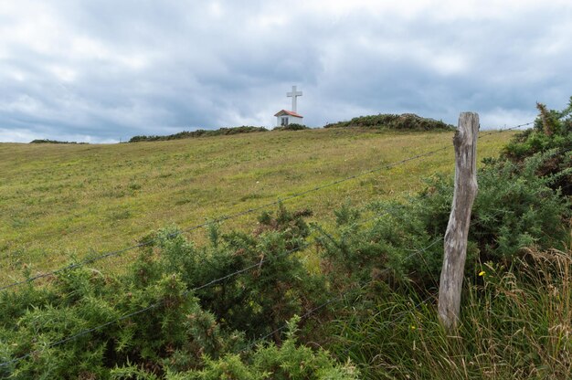 Foto paesaggio rurale con vegetazione verde