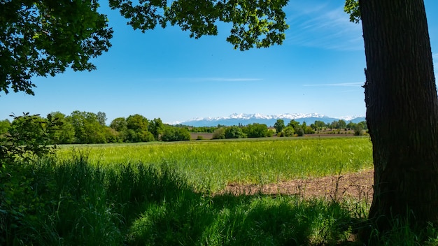 Countryside landscape with Pyrenees mountain range in the background