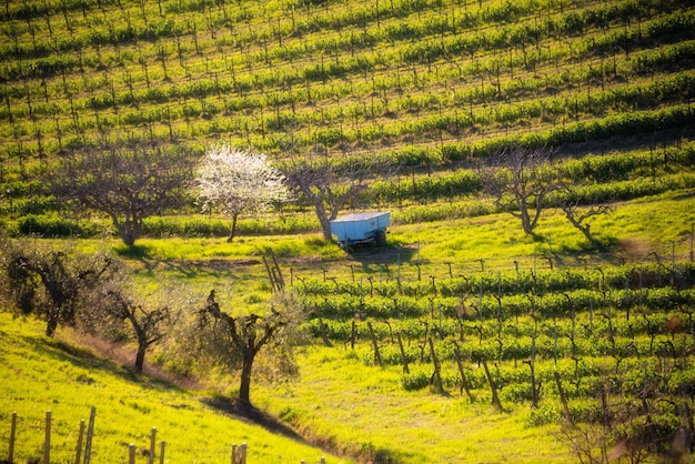 Countryside landscape works at agricultural fields inb spring