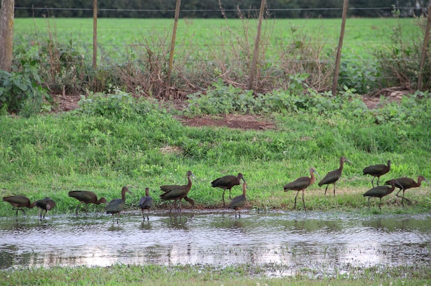 countryside landscape 