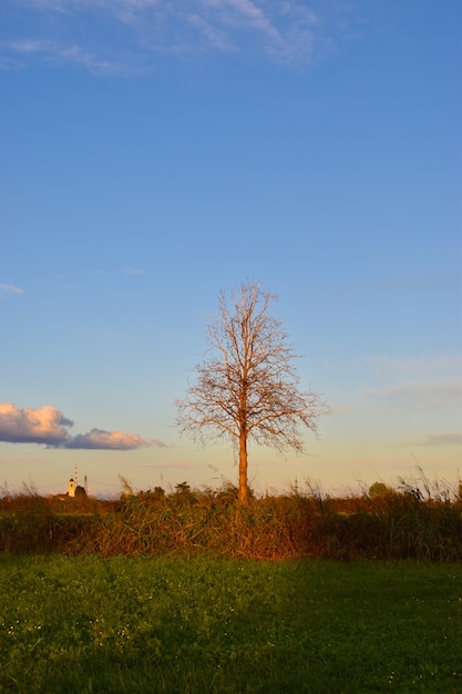 countryside landscape