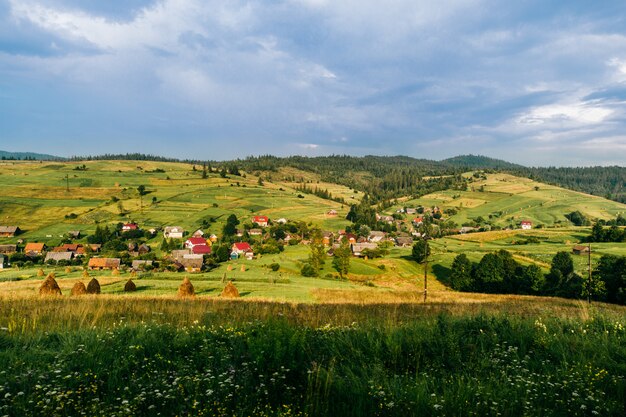 Сельская местность природа пейзаж в солнечный летний день.