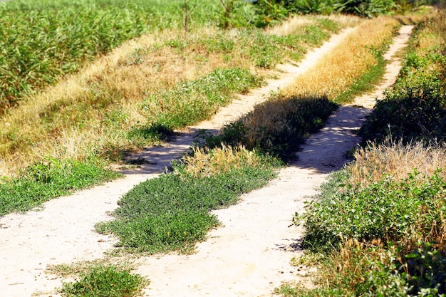 田舎道