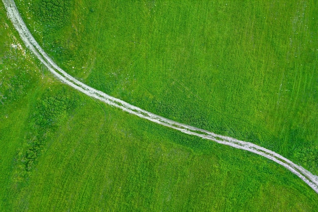 真上にある緑の芝生の空中写真のフィールドを横切る田舎道