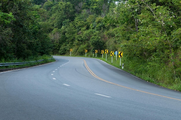 Countryside road with trees on both sidesCurve of the road to mountain