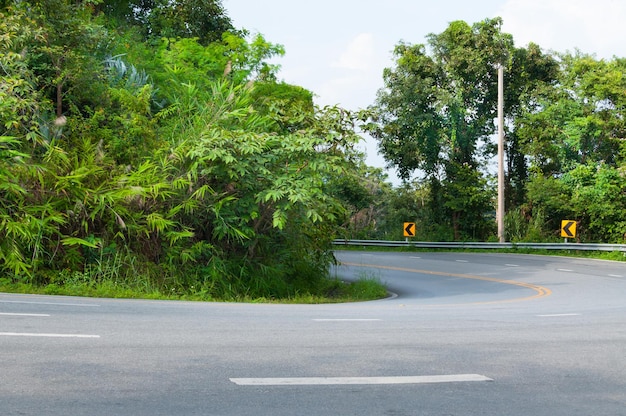 Countryside road with trees on both sidesCurve of the road to mountain