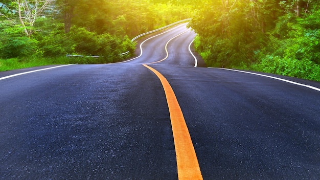 Foto strada di campagna e linea gialla con alberi su entrambi i lati curva della strada