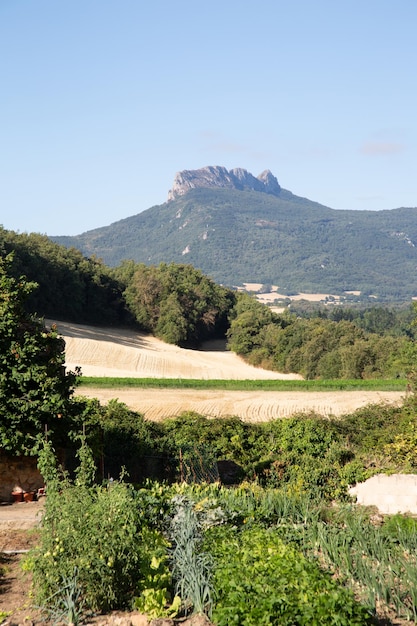 Countryside Scene in Genevilla, Navarra, Spain