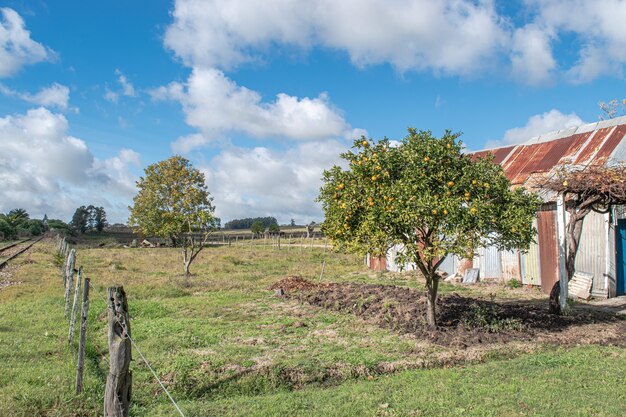 countryside scene