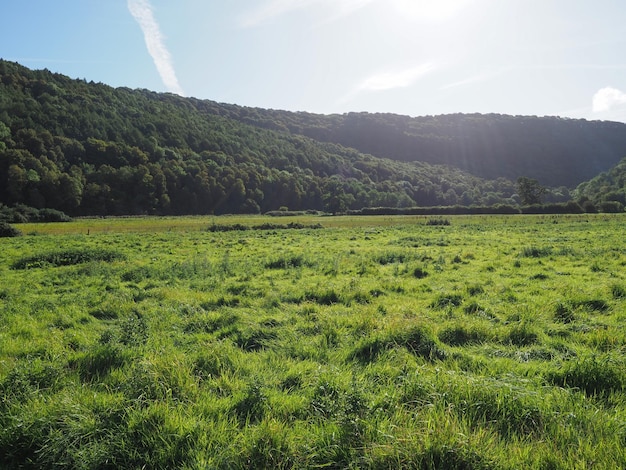 Countryside in Tintern