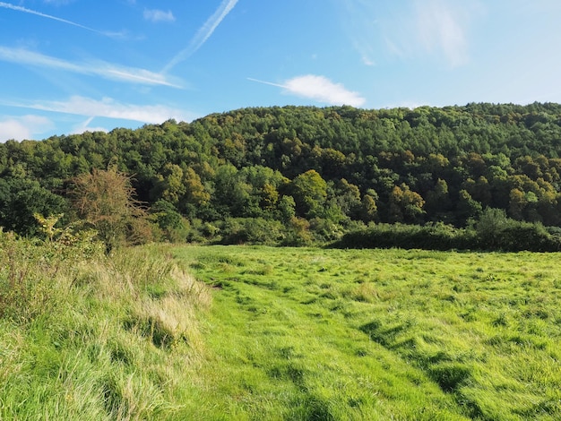 Countryside in Tintern