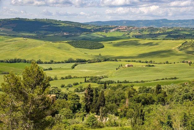 イタリア、ピエンツァ近郊のヴァルドルチャの田園地帯