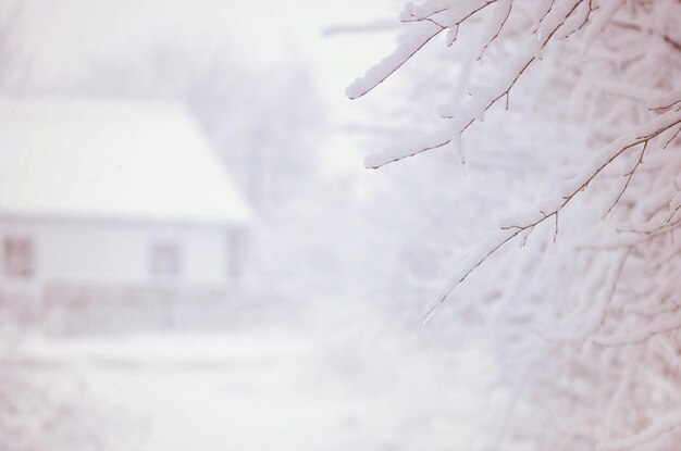 冬の朝の田園地帯美しい雪の森のカラフルな屋外の冬のシーンコテージ