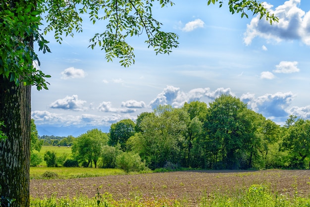 Countryside with foliage