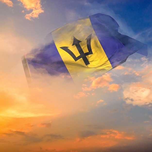 County of barbados Flag world flag