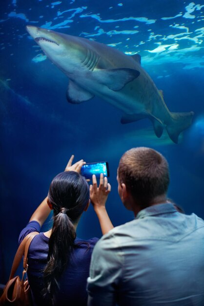 Foto acquario di coppia e mostra di immagini di squali e telefono cellulare per la cattura di ricordi tecnologia fotografia e social media per marito e moglie animale o centro di soccorso per la vita marina