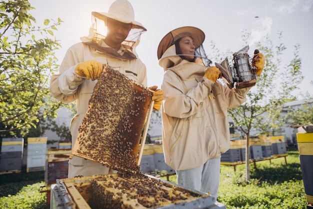 Couple of beekeepers man and woman taking out frame with bees from beehive at bee farm