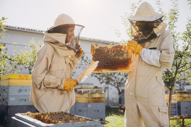 Couple of beekeepers working with a wooden frame near a beehive in beekeeping