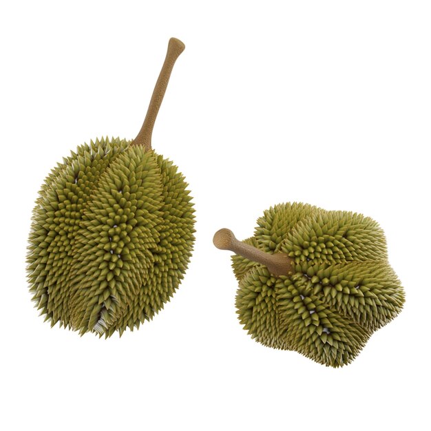 A couple of durian fruits are next to each other