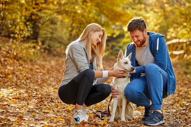 カップルは秋の森で犬との時間を楽しんでいます、幸せな男性と女性は屋外の秋の間に素敵な犬と友達です