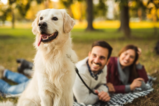 Couple enjoying time spent with dog in the park