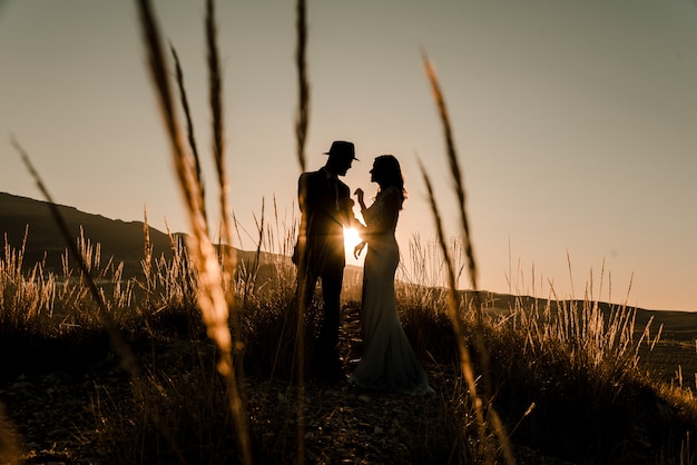 Couple in a field at sunset among dry plants