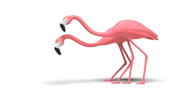 Photo couple of flamingos on a white background 3d rendering