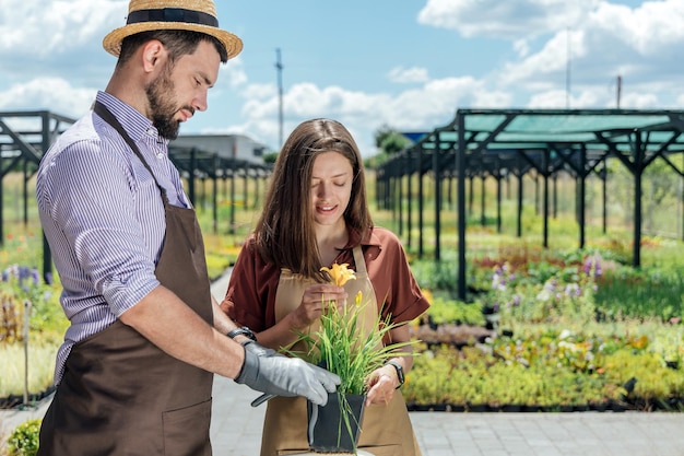 A couple of gardeners care of plants at a garden center