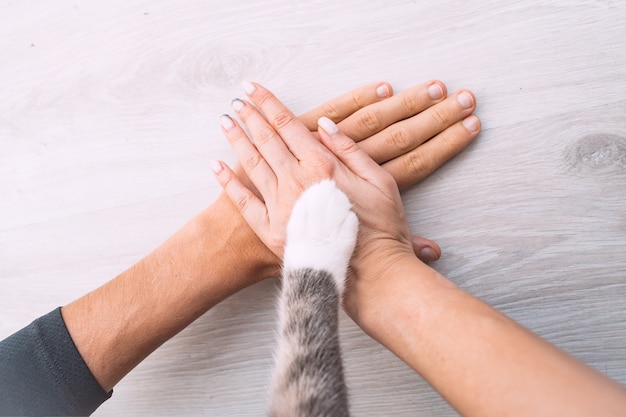 Couple hands and cat paw on the top People and pets friendship