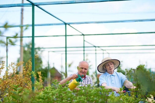 Couple of happy senior farmers in garden