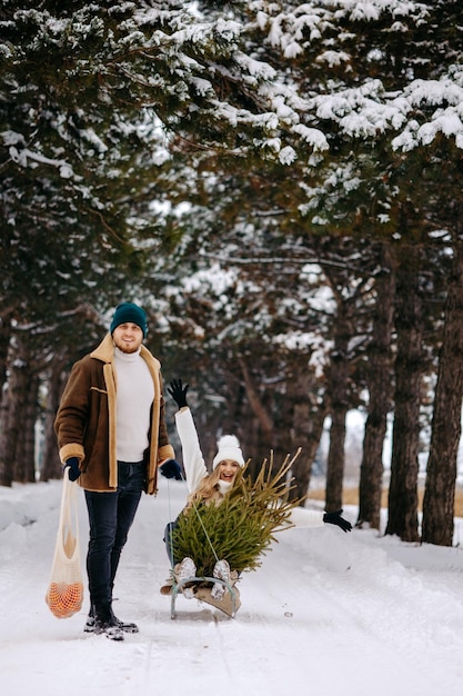 クリスマス ツリーの森でそりを楽しんだり、みかんを食べたり、雪景色を楽しんだりするカップル