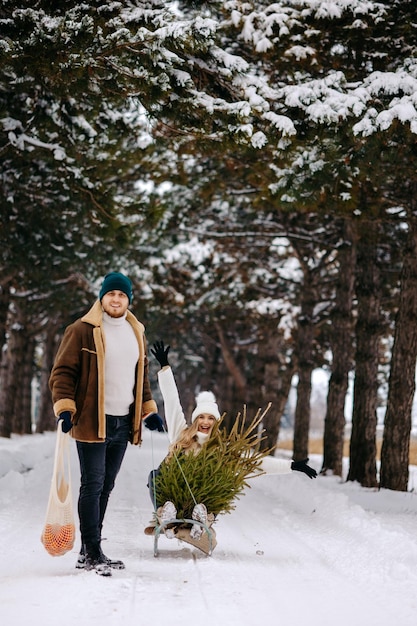 A couple having fun with sleigh in a Christmas tree forest , eating mandarins and enjoying a snowy