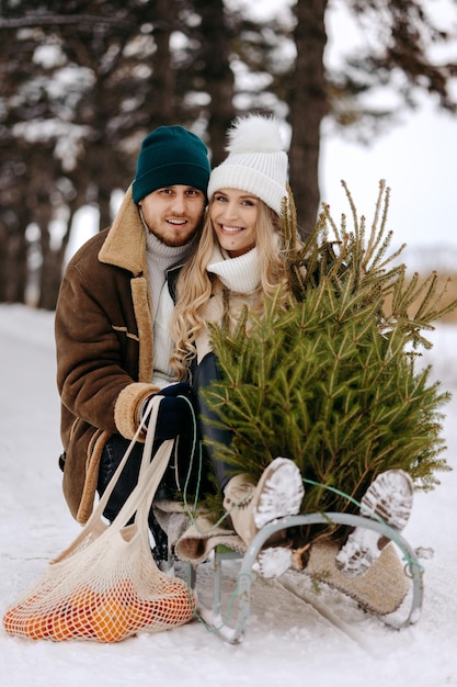 A couple having fun with sleigh in a Christmas tree forest , eating mandarins and enjoying a snowy