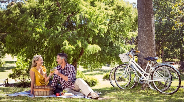 Couple having a picnic in the park