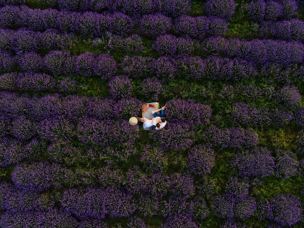 Coppia che fa un picnic romantico al campo di lavanda