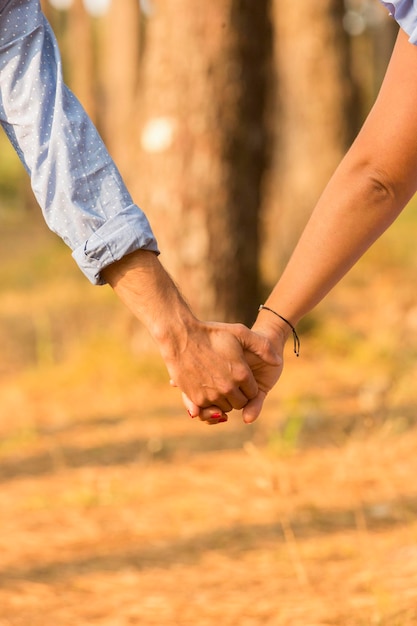 Foto coppia che si tiene per mano e cammina nella foresta