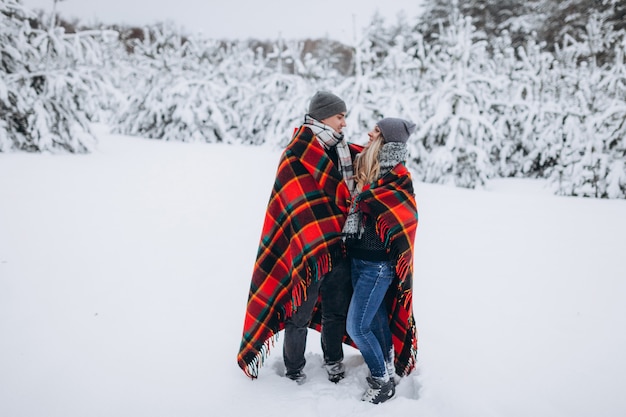 Couple in love hiding with a blanket in a snowy beautiful winter forest