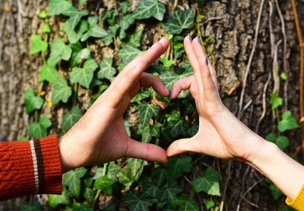 Photo couple in love play behind tree in park man and woman